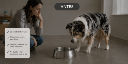 AquaVita™ 4L | Fuente Inalámbrica de Agua para Perros